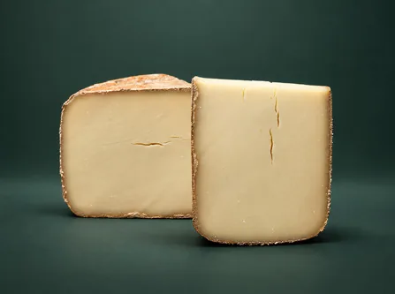 Pyrenees Brebis
